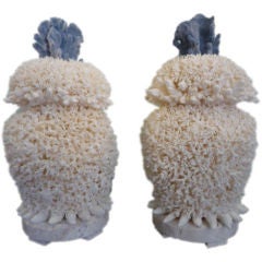 Pair of Lace Coral Urns or Garnitures with Blue Coral Finials