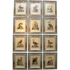A Set of Ten Seligmann Engravings of Waterbirds after Edwards