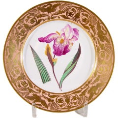 A Derby Porcelain Salmon-Ground Plate of  An Elder Scented Iris