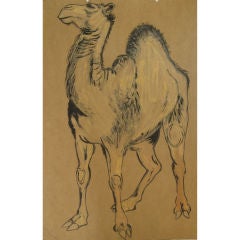 Large Mid Century Camel Drawing