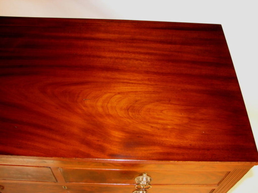 American New York Sheraton Mahogany Server