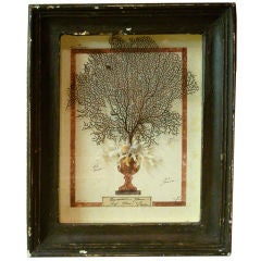Italian Framed Coral Art