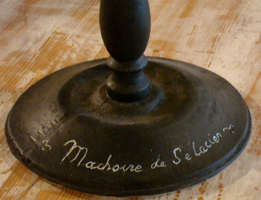 Set of Seven Seashell Fragments on Stands 1