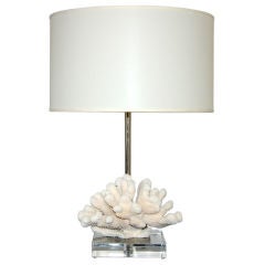 Natural Cauliflower Coral Accent Lamp