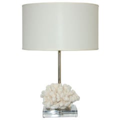 Natural Coral Accent Lamp