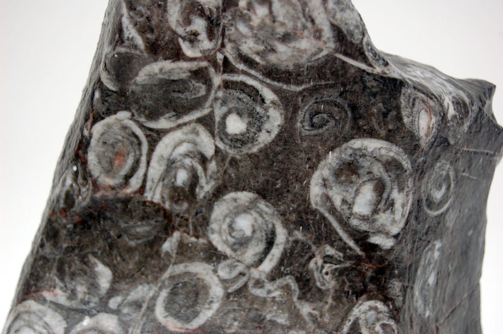 Fossil Stone Table Lamp on Lucite In Excellent Condition For Sale In Little Rock, AR
