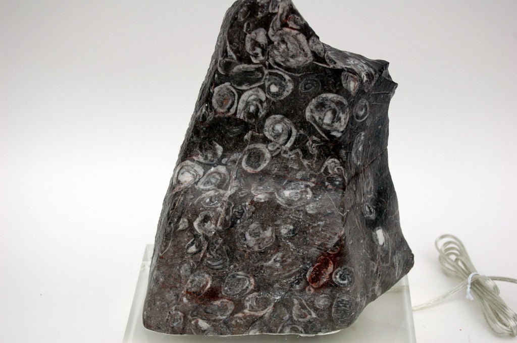 Contemporary Fossil Stone Table Lamp on Lucite For Sale