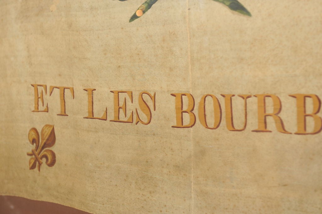 the french flag before the revolution