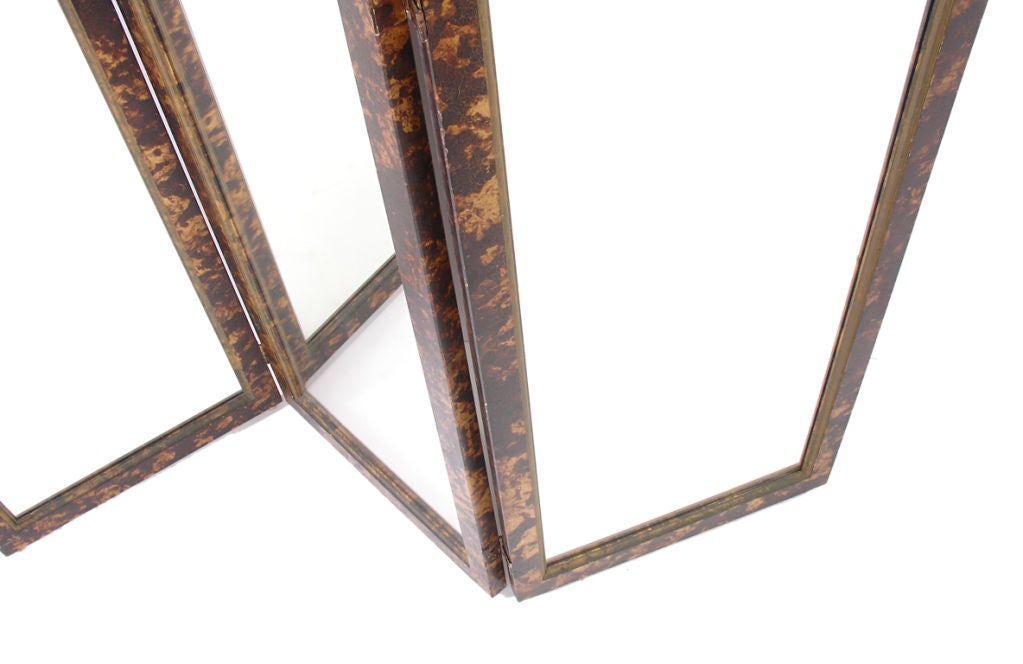 Faux Tortoise Shell Mirrored Screen - circa 1960's 1