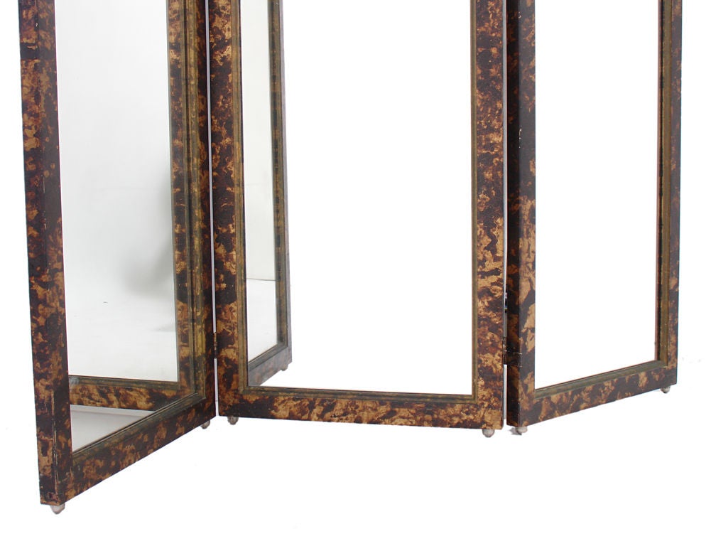 Faux Tortoise Shell Mirrored Screen - circa 1960's 2