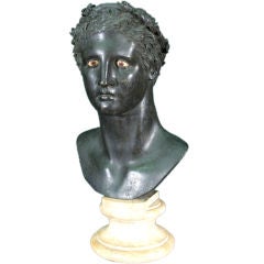 Grand Tour      Patinated Bronze Head of a Victorious Youth