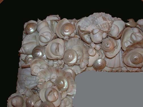 Sea Shell Framed Mirror