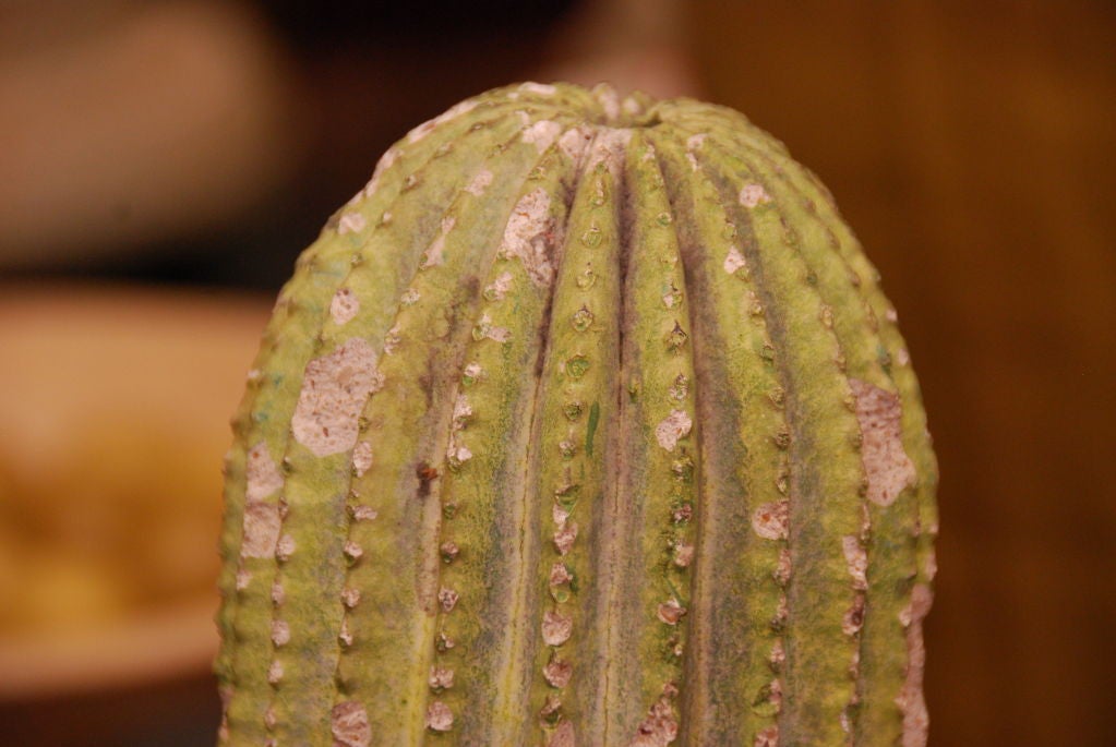Vintage Decorative Cast and Painted Plaster Cactus