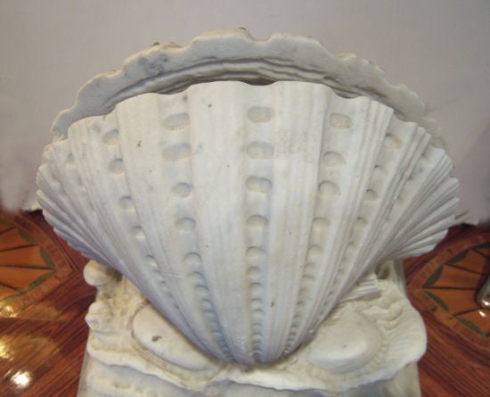 clam vase