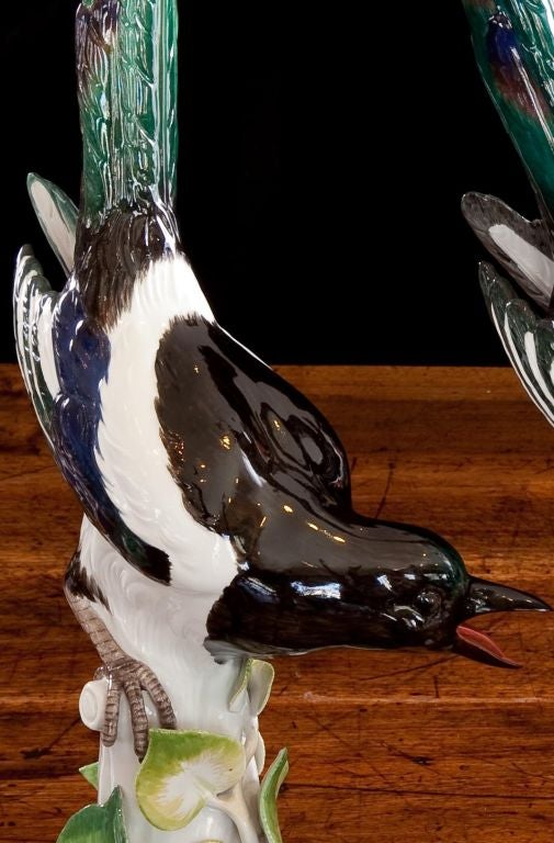 Fabulous Pair of Meissen Magpies