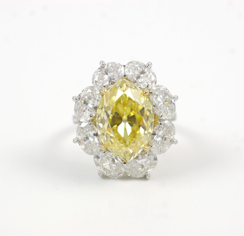 Platinum and 18kt gold ring set with an antique marquise shape yellow diamond and several white oval brilliant diamonds.<br />
 <br />
Accompanied by a GIA certificate stating the 8.06 carats marquee is Fancy Vivid Yellow, natural color, Vs1
