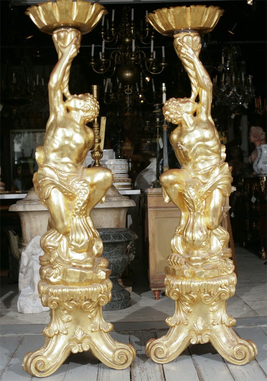 A PAIR OF CARVED YELLOW GOLDLEAF GILT WOOD MALES RIDING DOLPHINS BLOWING INTO RAISED CORNUCOPEA  OR HORNS, GOLD LEAF TIN  PANS ABOVE(REMOVABLE). FORMERLY ELECTRIFIED.  TRIANGULAR SHAPED  BASE WITH SCROLL FEET