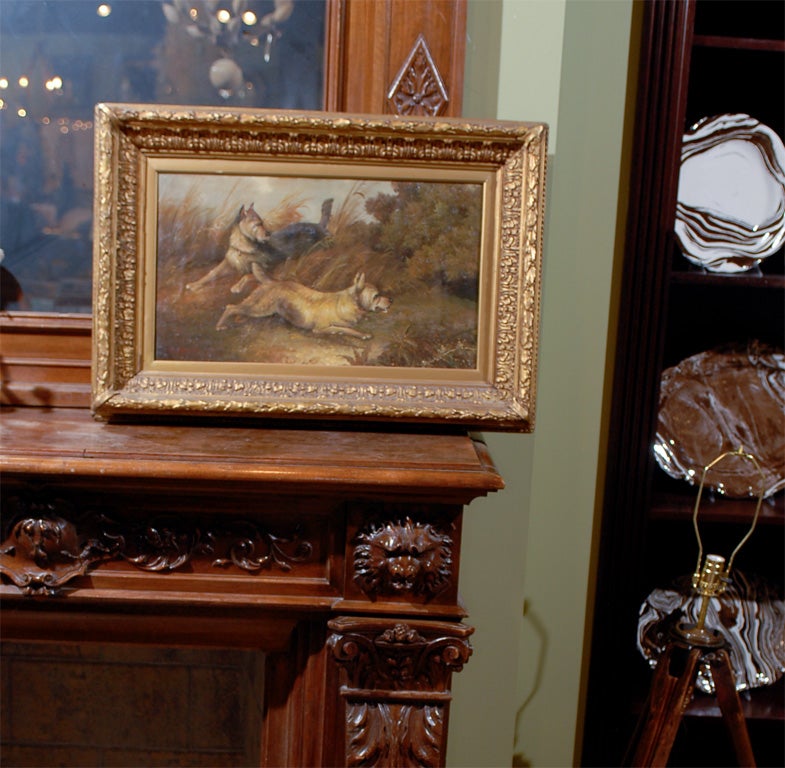 English Sporting Panting