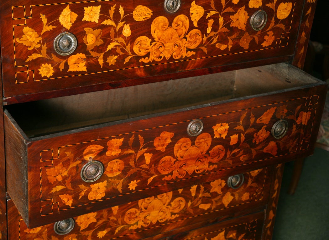 Wood A tall Dutch marquetry chest of drawers For Sale