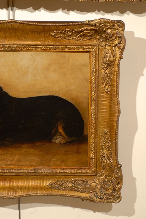 English Dog Painting in Gilt Frame