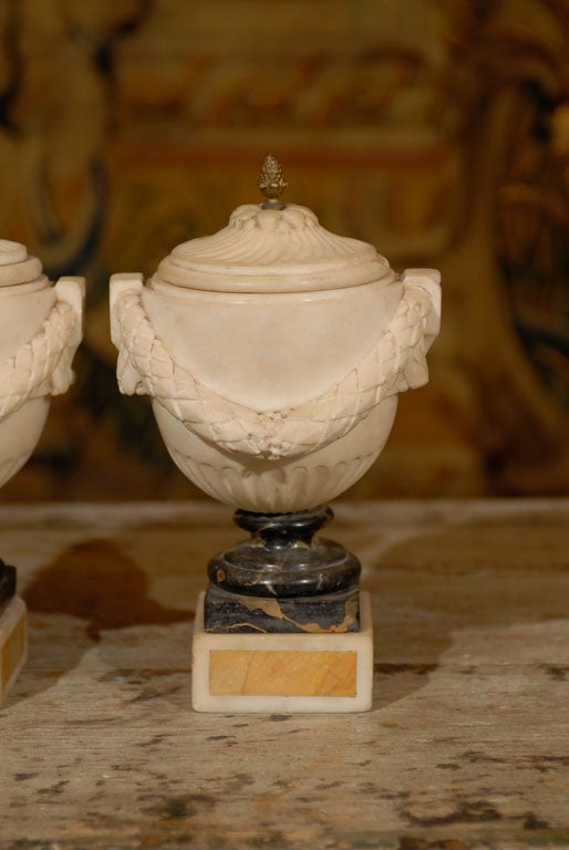 Pair of 18th Century Italian Marble Coupes