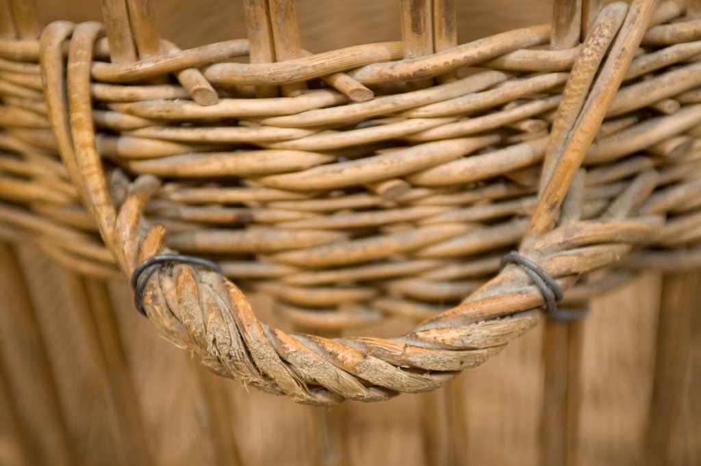 19th Century Extraordinary Oversize French Wicker Basket