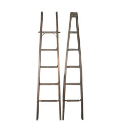 Turn of the 20th Century 2-part Apple Picking Ladder