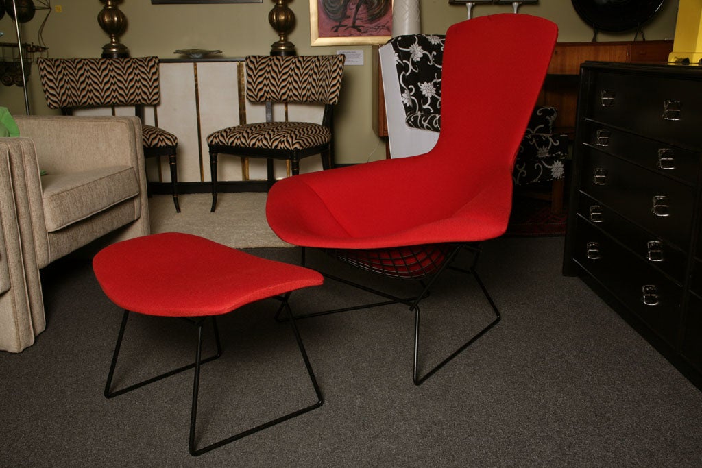 Harry Bertoia ikonischer „Bird Chair“ für Knoll in Rot