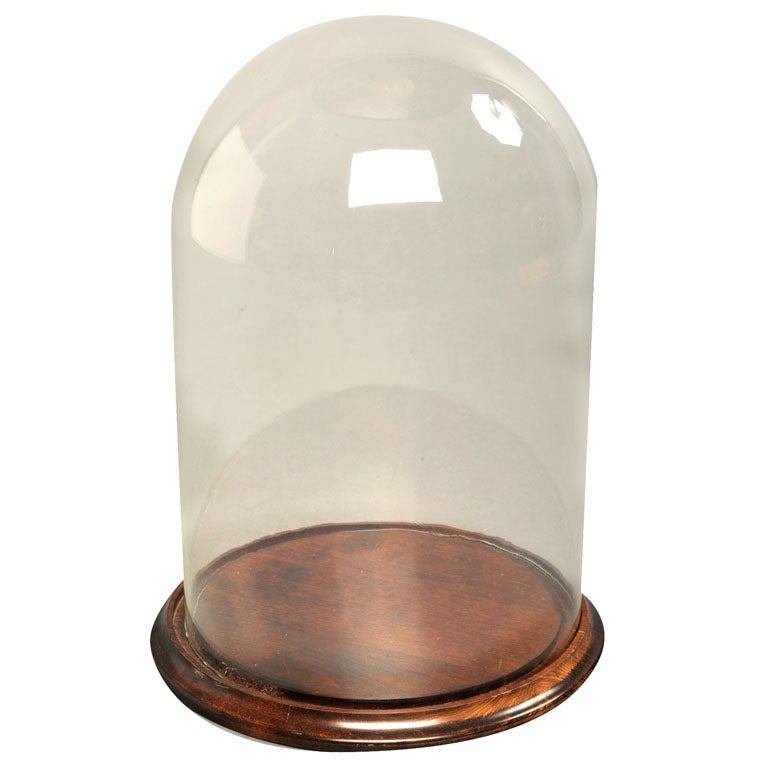 Victorian Glass Display Dome at 1stDibs