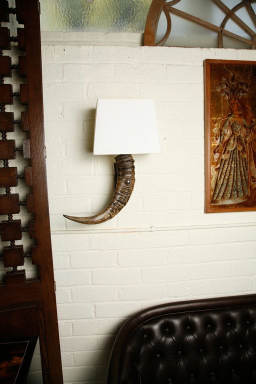 Vintage Horn Sconces