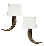 Vintage Horn Sconces