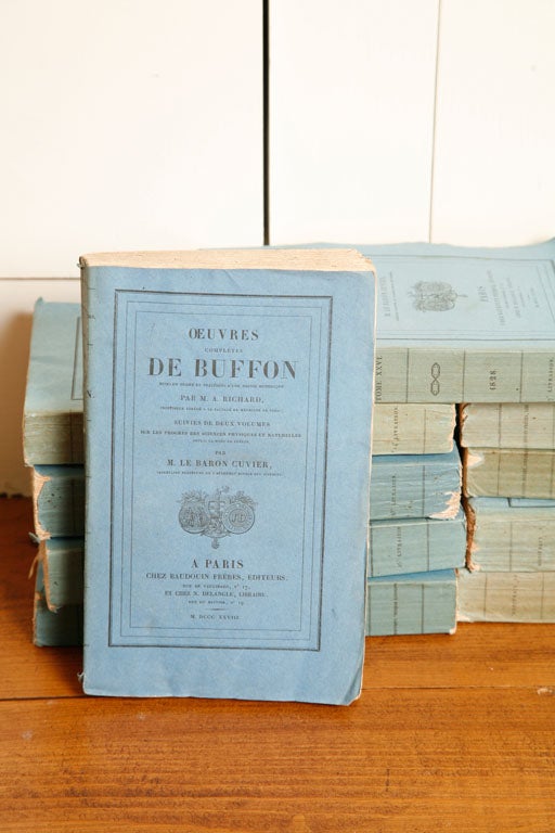 Beautifully aged De Buffon Books in various shades of muted blue. Ruffled, uncut edges add to their charm. $75 each.