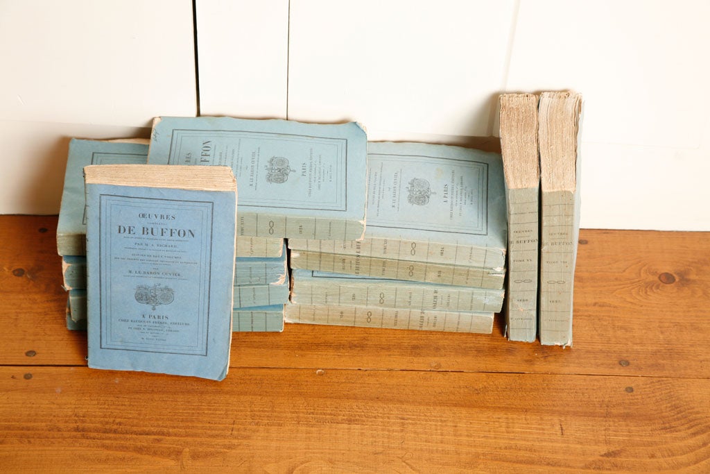 De Buffon 18th Century Books For Sale 2