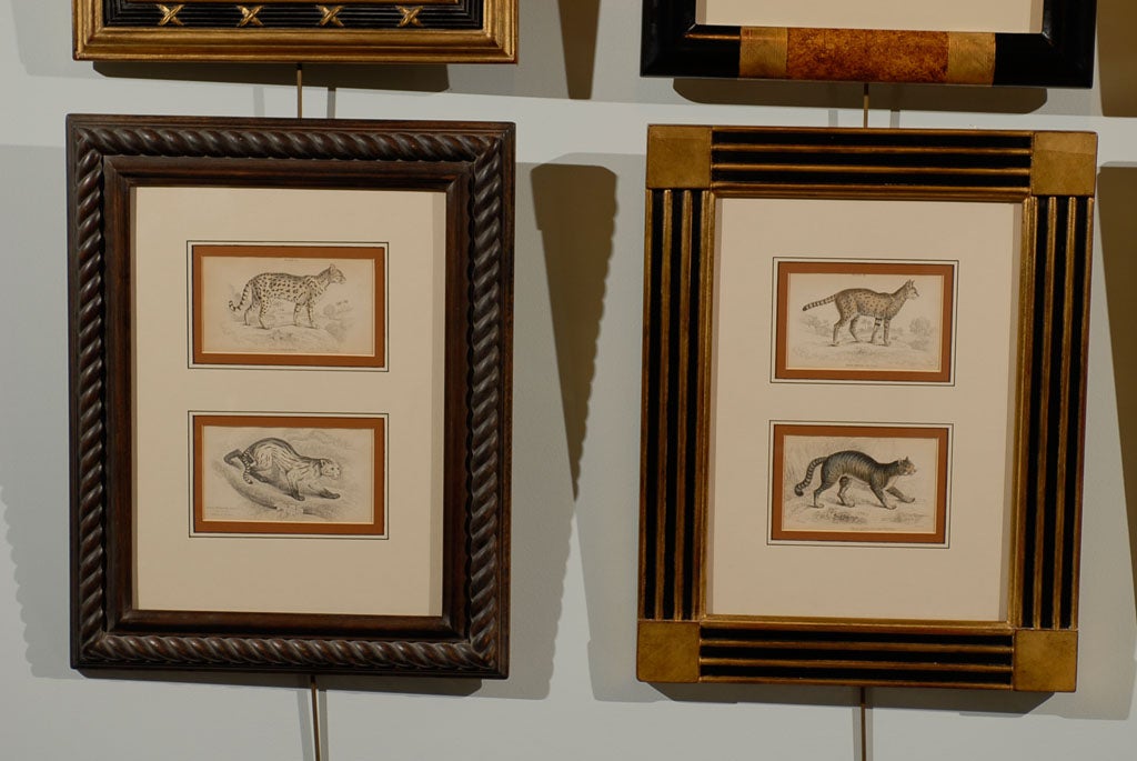 Set of 19th Century Engravings