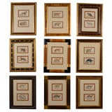 Antique Set of 19th Century Engravings