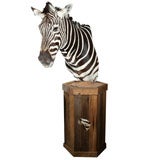 Zebra Head