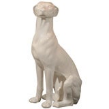 White Greyhound