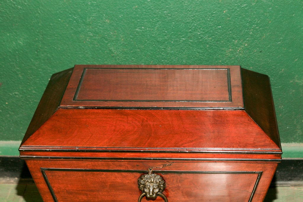 Regency Mahogany and Ebony Cellarette In Good Condition For Sale In Hudson, NY