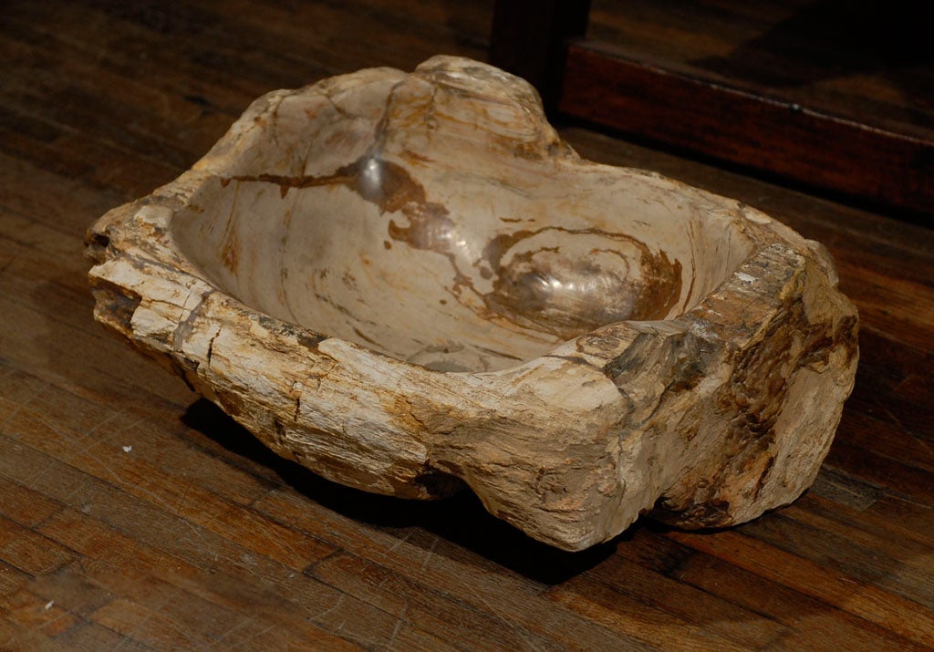 Petrified Wood Sink