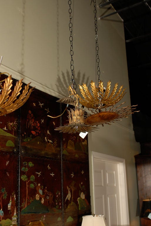 French starburst ceiling light