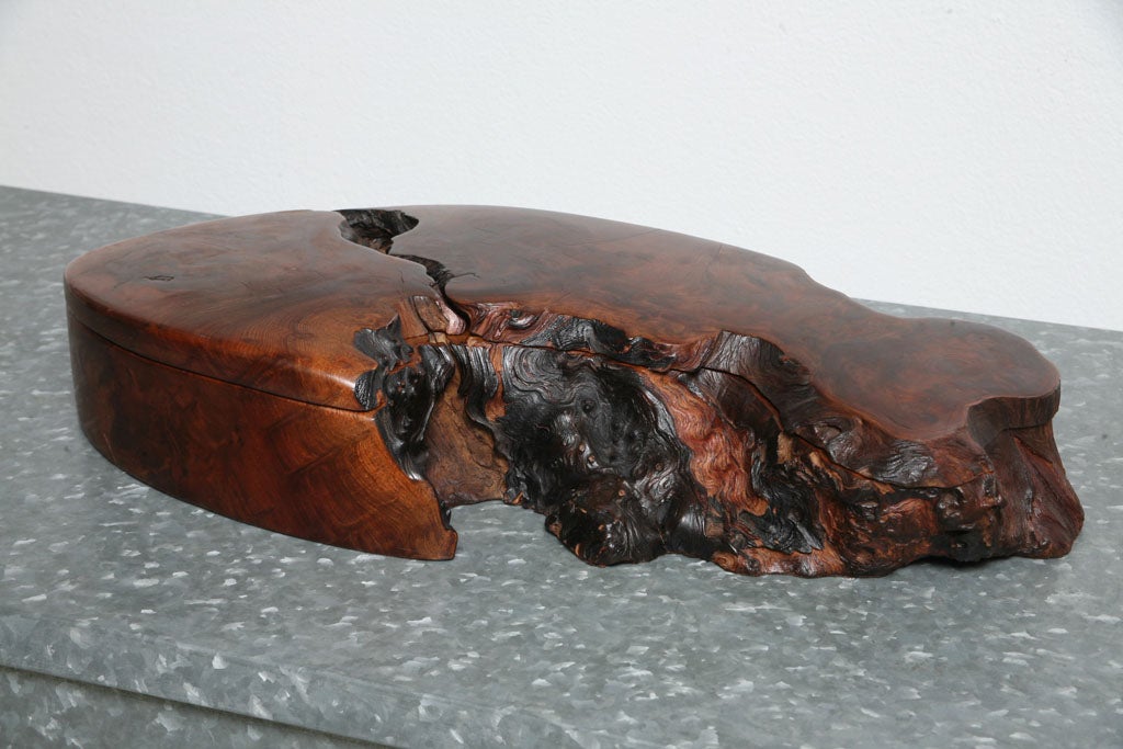 Large Burled Wood Box