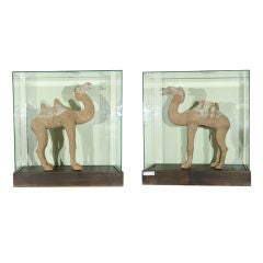 Pair of Chinese Tang Dynasty Bactrian Camel figures