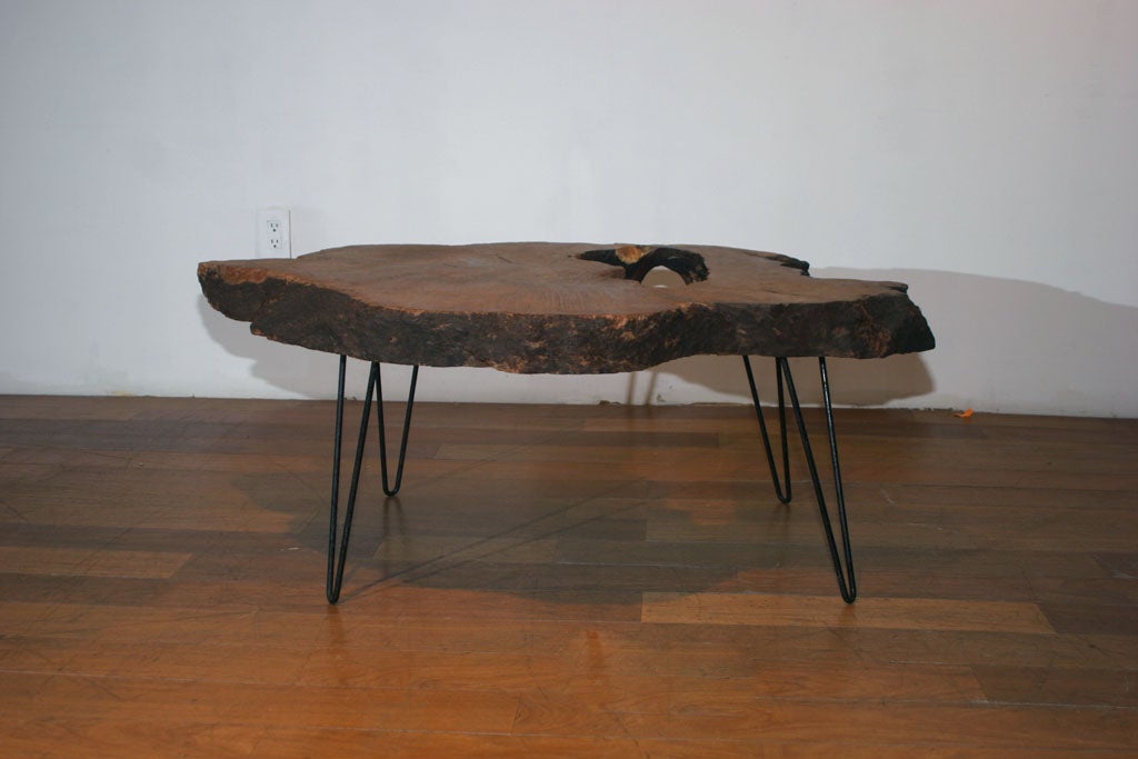 Burl Coffee Table with Hairpin Iron Legs