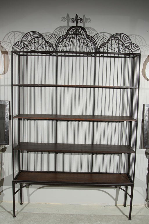 An intriguing bookcase, overall metal with wooden shelves, three domed top with a crest in the center, shape like a birdcage, over four narrow shelves with wooden tops.