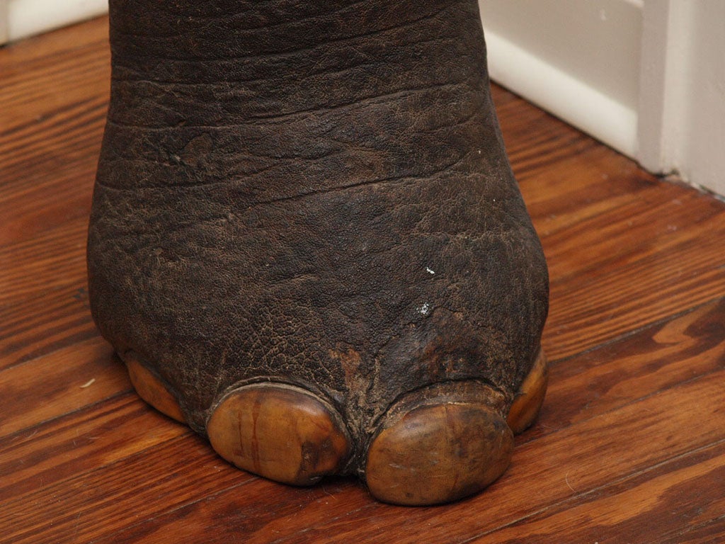 English Elephant Foot Umbrella Stand at 1stDibs elephant foot