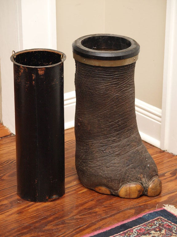 English Elephant Foot Umbrella Stand at 1stDibs elephant foot