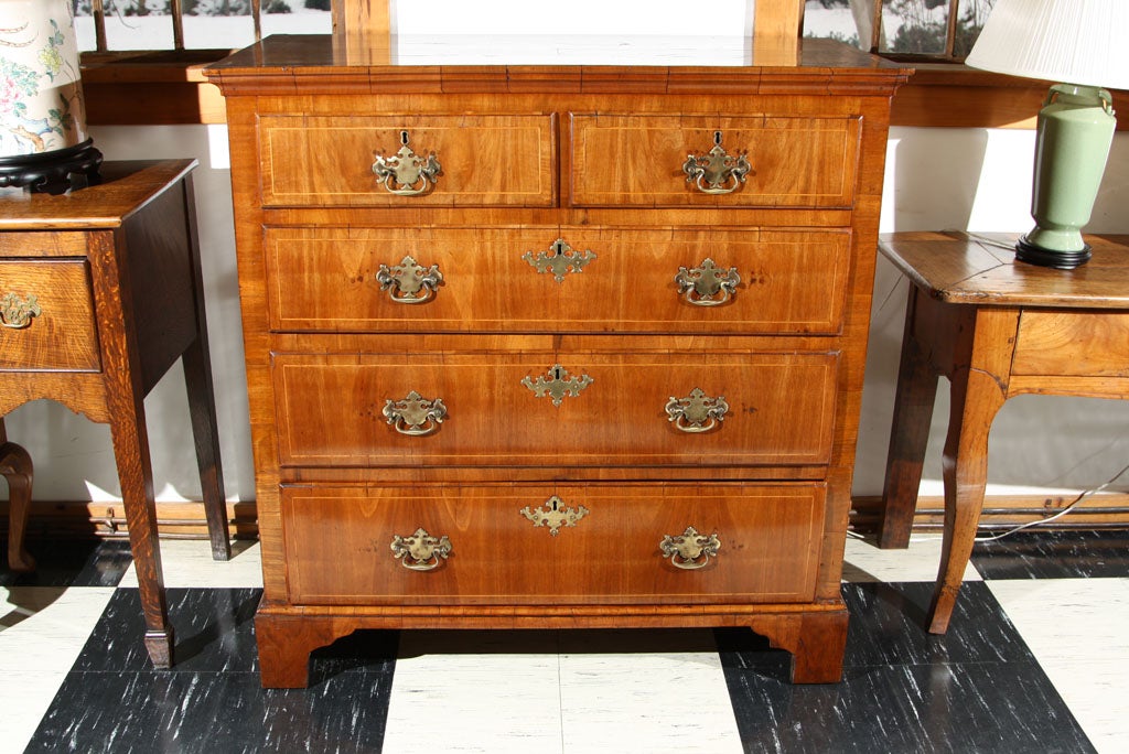 English, walnut five-drawer chest with quartered, crossbanded top, waterfall veneered front with boxwood stringing on drawer fronts. The replaced Chippendale style brasses do not detract from the Classic appearance of this quality piece.