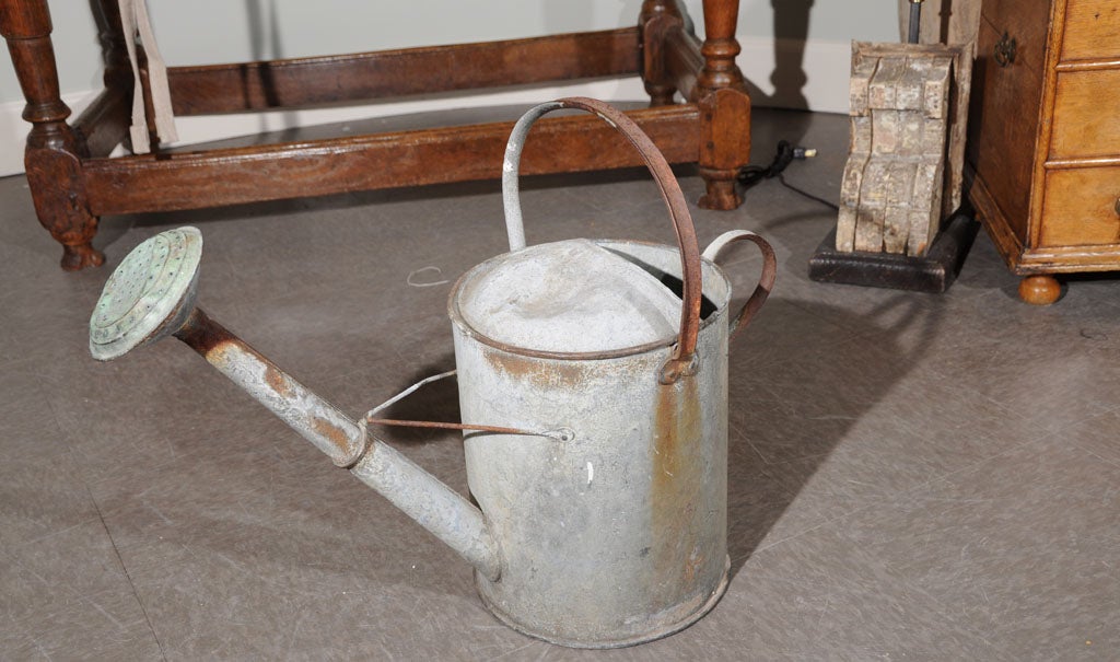 2 gallon zinc (or galvanized?) watering can with a coppper rose spray.  Beautiful patination and evidence of use.