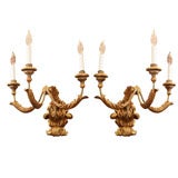 Italian Gilt-wood Three-light Sconces