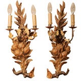 Hand Carved Gilt-wood Two-Light  Sconces